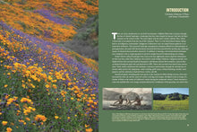 Load image into Gallery viewer, California Eden