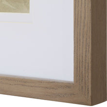 Load image into Gallery viewer, Verdant Framed Print