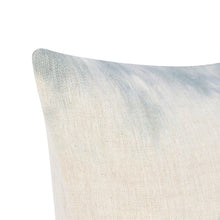 Load image into Gallery viewer, BW Horizon Blue/Sagebrush 20x20