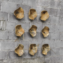 Load image into Gallery viewer, Tamarine Wood Wall Decor S/3
