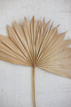 Load image into Gallery viewer, Large Natural Sun Palm Spear