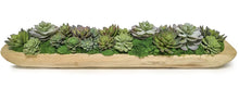 Load image into Gallery viewer, Artificial Succulent Boat Tray
