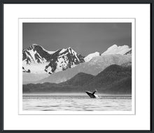 Load image into Gallery viewer, Breaching Whale
