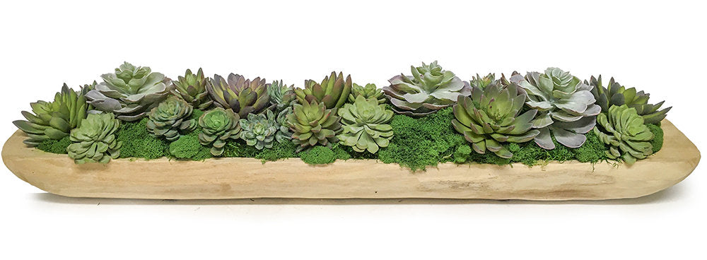 Artificial Succulent Boat Tray